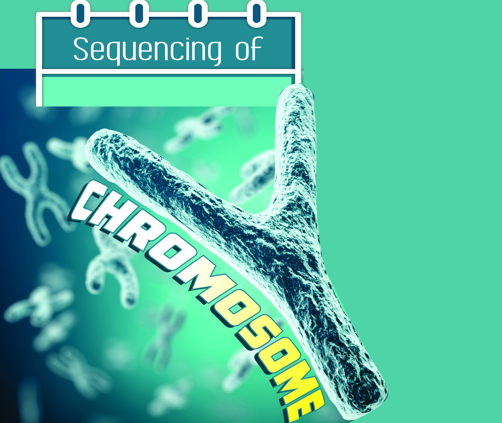 You are currently viewing Sequencing of Chromosome
