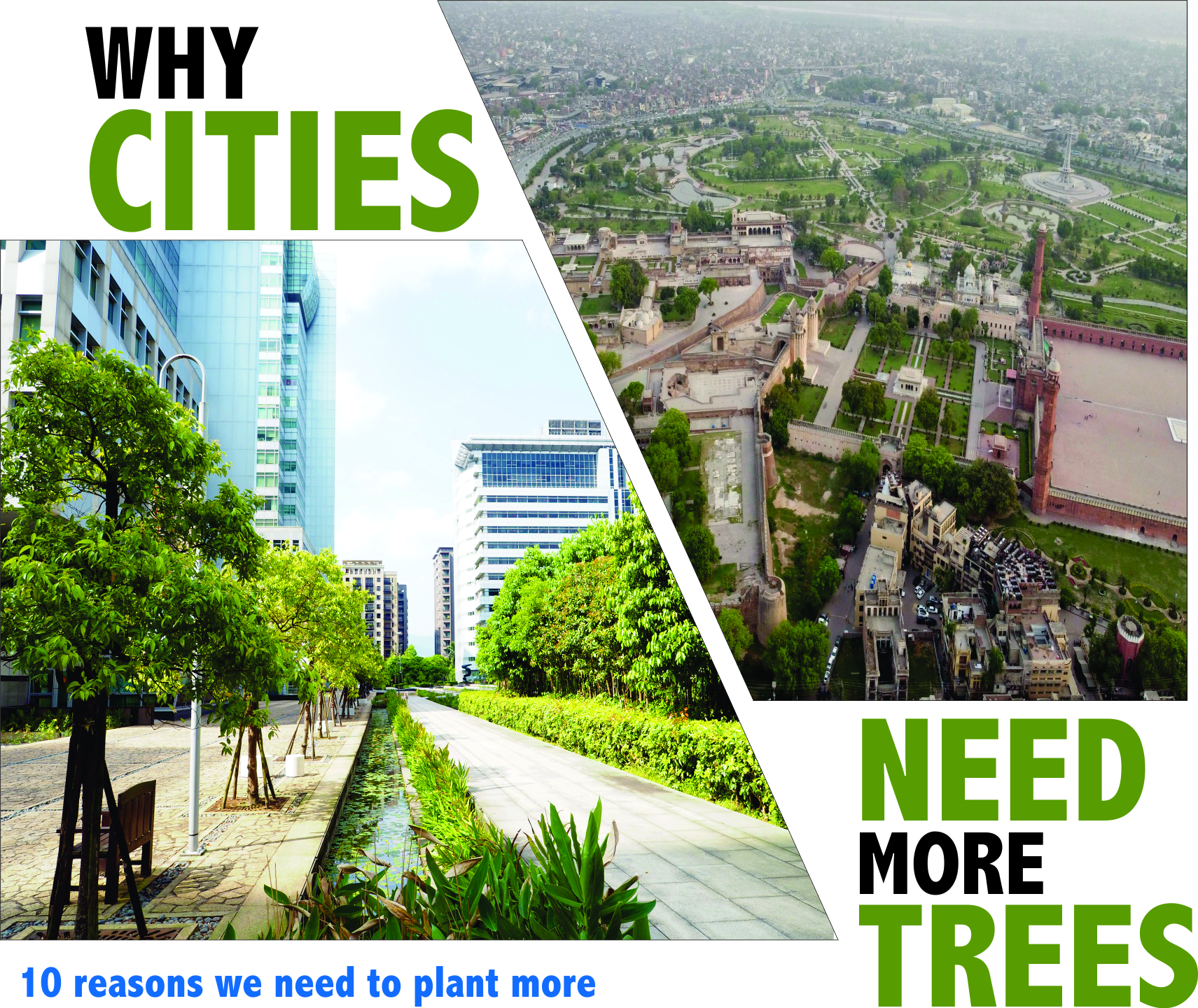 Read more about the article Why Cities Need More Trees