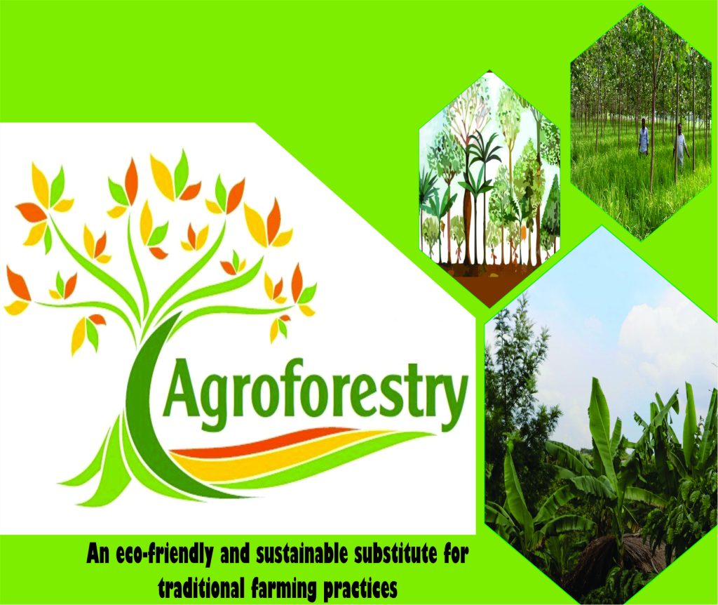 <strong>Agroforestry</strong>