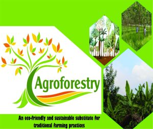 Read more about the article <strong>Agroforestry</strong>