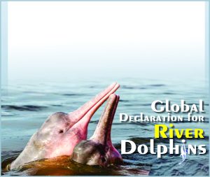 Read more about the article Global Declaration for River Dolphins