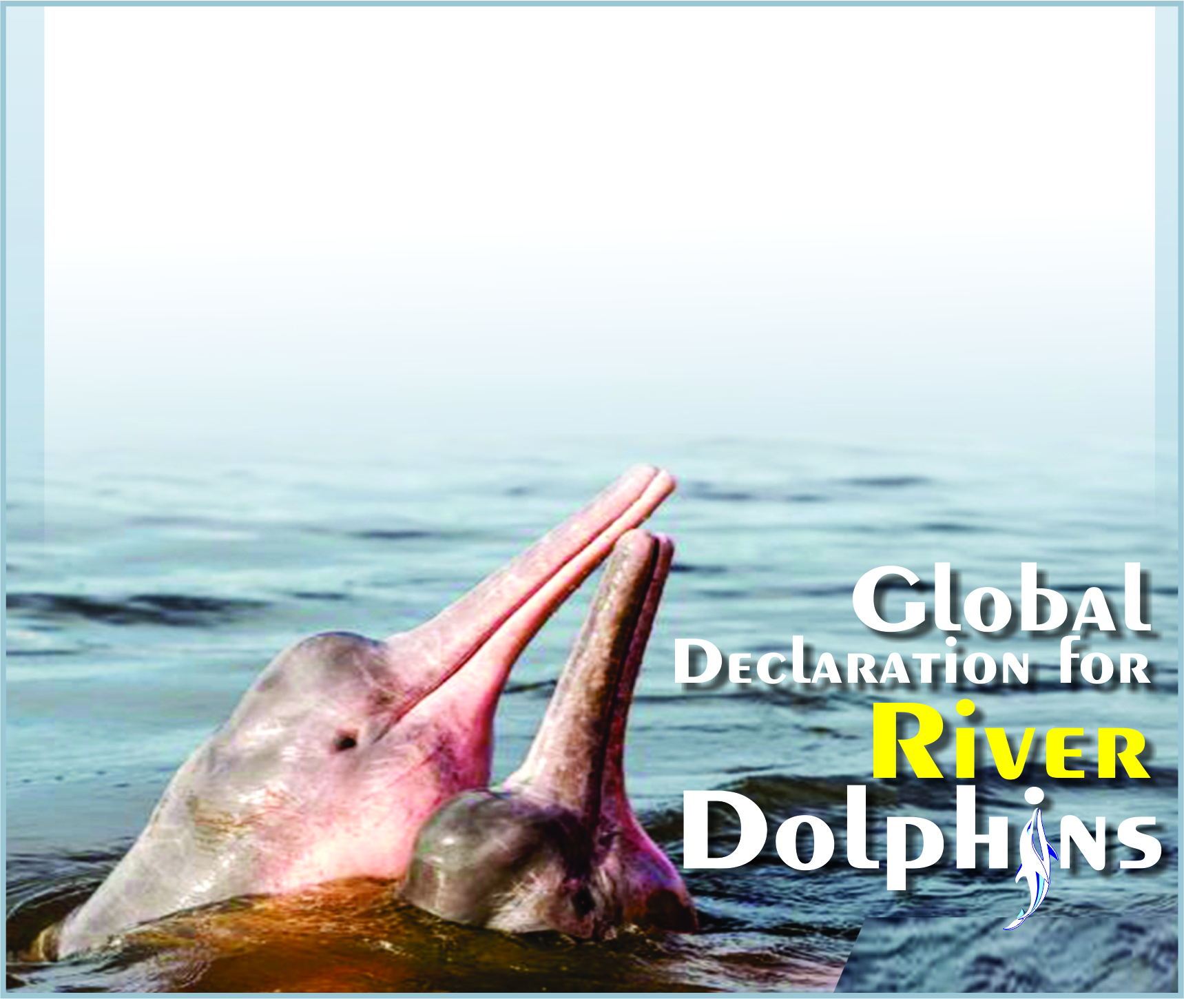 You are currently viewing Global Declaration for River Dolphins