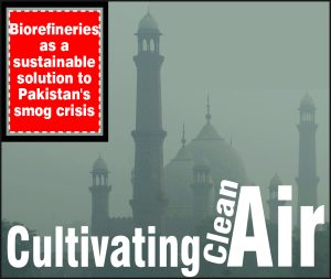 Read more about the article Cultivating Clean Air