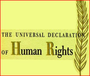 Read more about the article The Universal Declaration of Human Rights