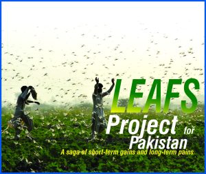 Read more about the article Leafs Project for Pakistan