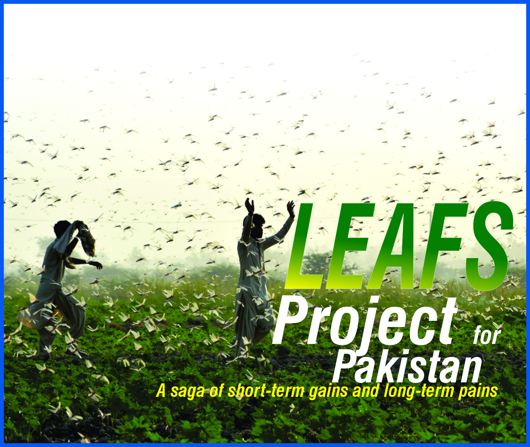 Read more about the article Leafs Project for Pakistan