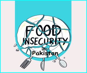 Read more about the article Food insecurity in Pakistan