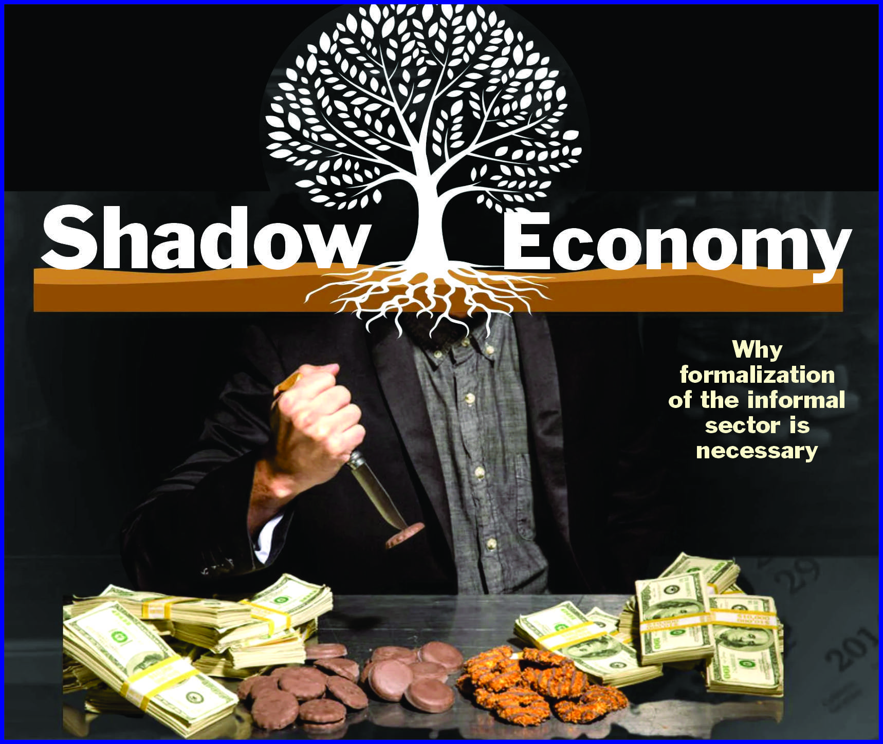 Read more about the article Shadow Economy