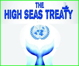 Read more about the article The High Seas Treaty