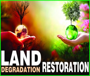Read more about the article Land Degradation and Restoration