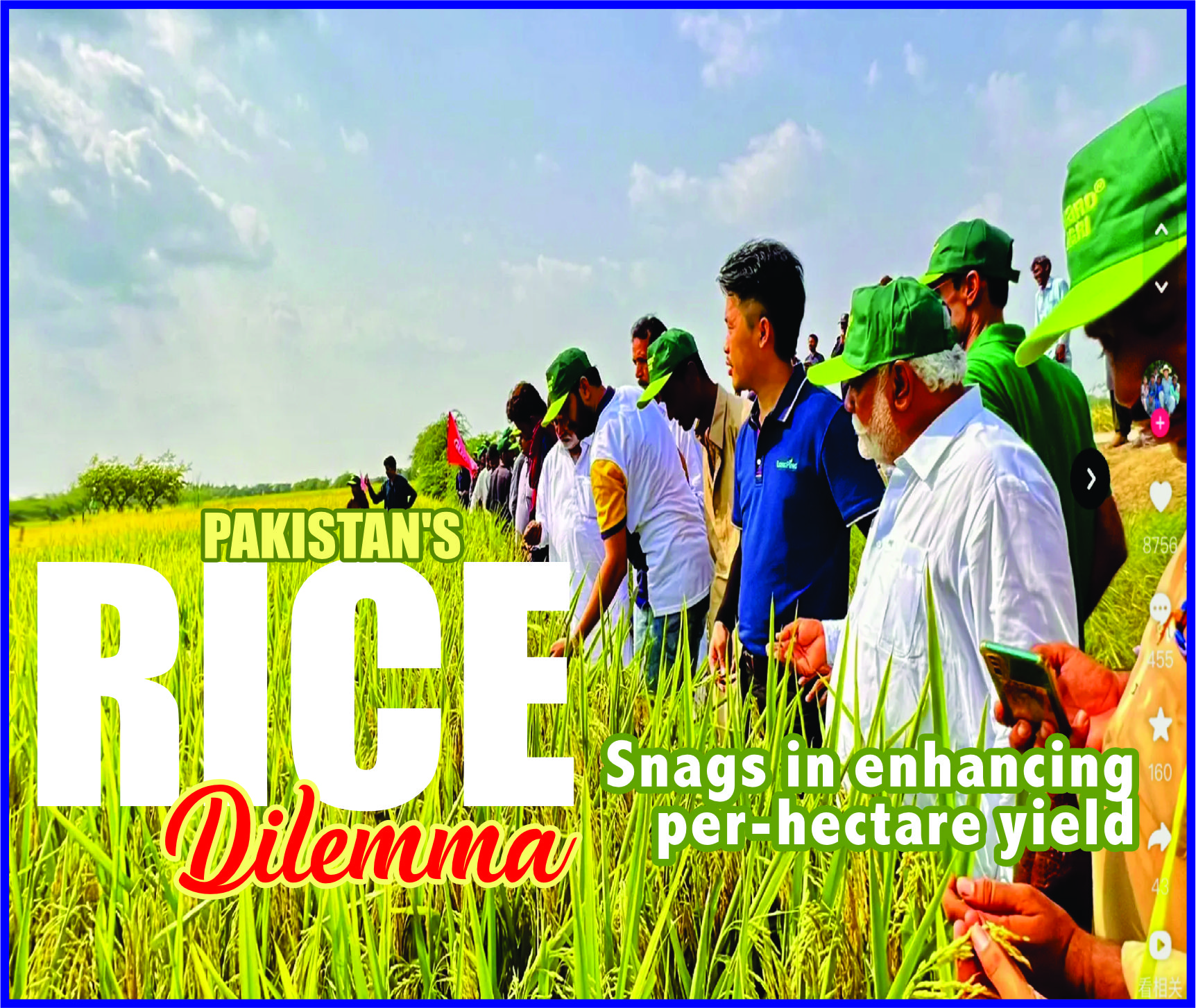 You are currently viewing 