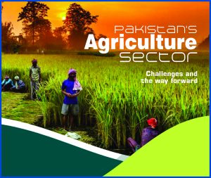 Read more about the article Pakistan’s Agriculture Sector