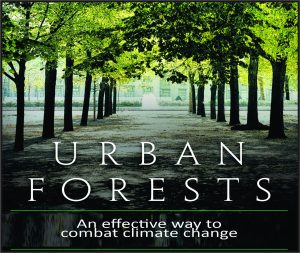 Read more about the article Urban Forests