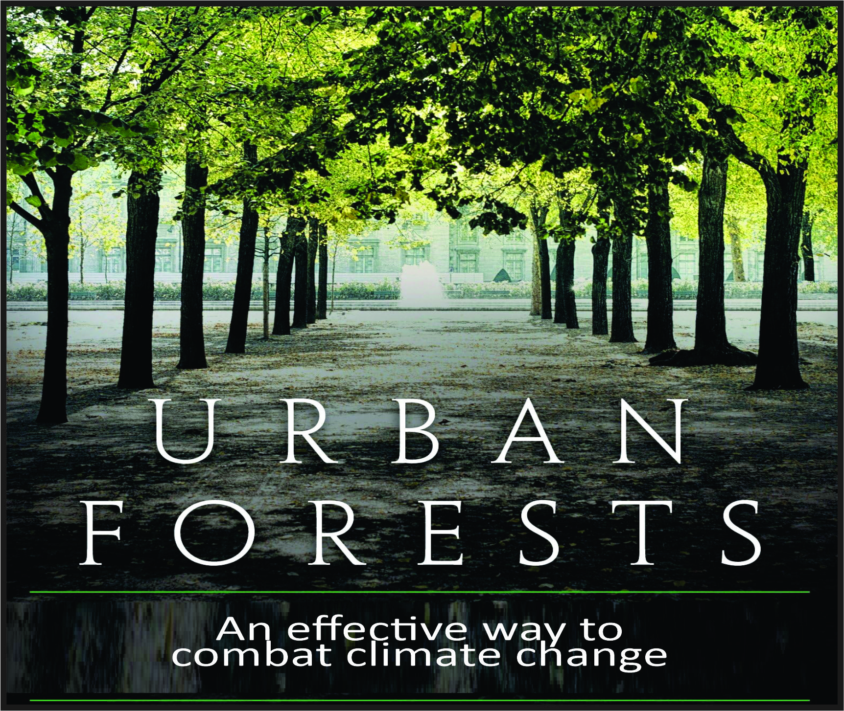 You are currently viewing Urban Forests