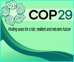 Read more about the article COP 29