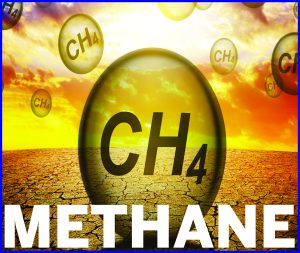 Read more about the article CH4 Methane