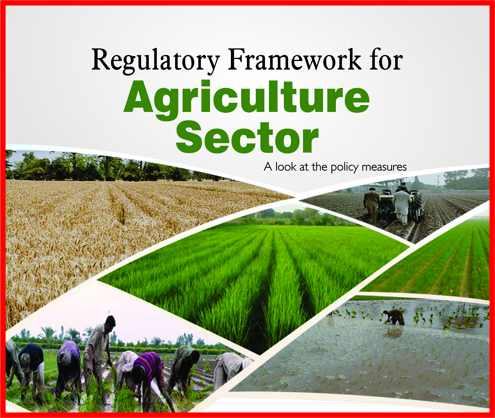 You are currently viewing Regulatory Framework for Agriculture Sector