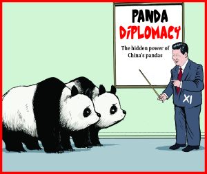 Read more about the article Panda Diplomacy