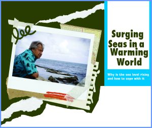 Read more about the article Surging Seas in a Warming World