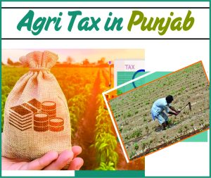 Read more about the article Agri Tax in Punjab
