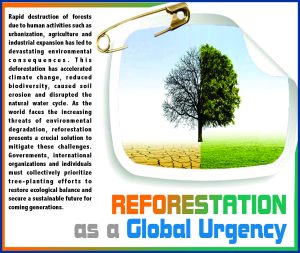 Read more about the article Reforestation as a Global Urgency