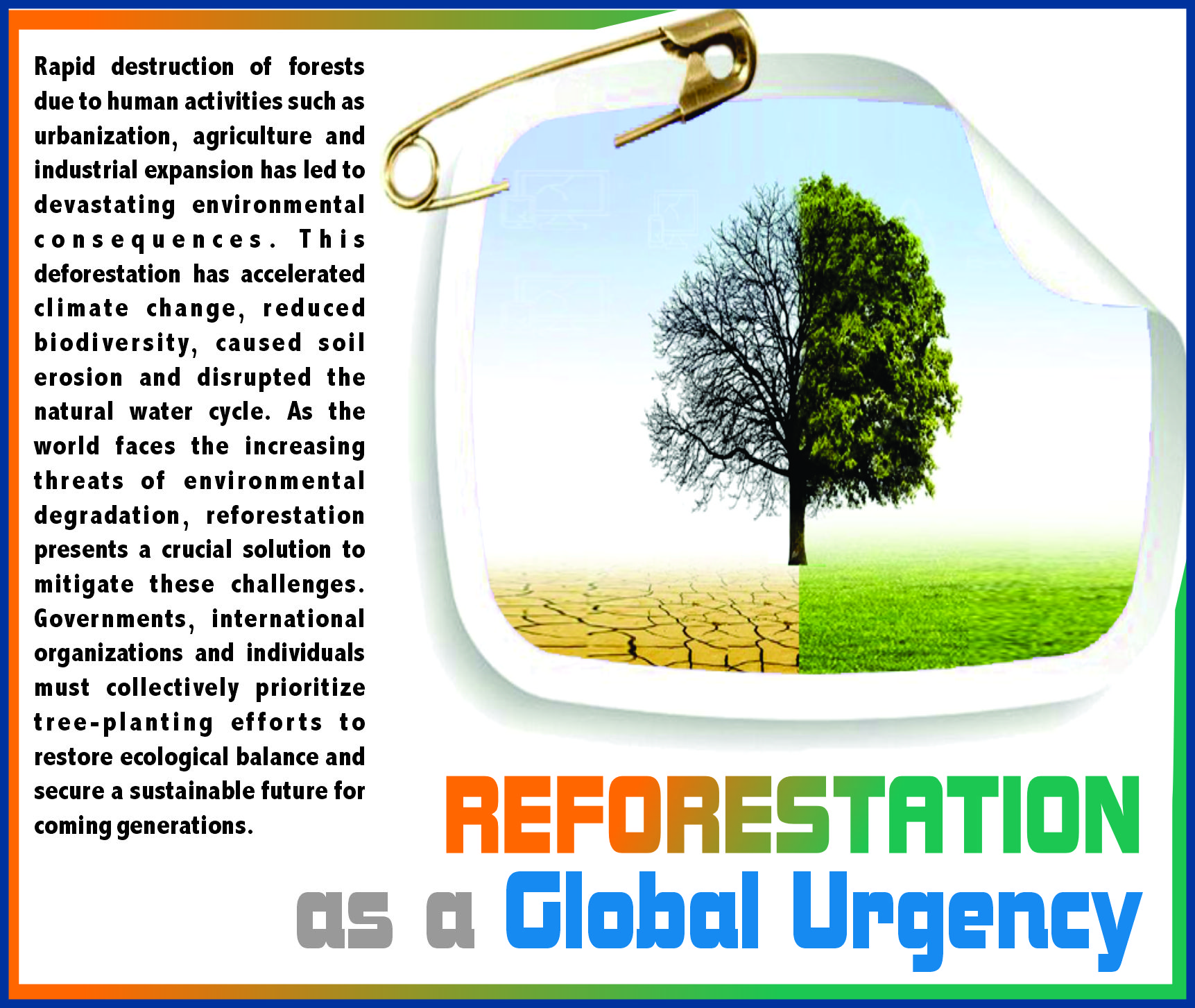 Read more about the article Reforestation as a Global Urgency