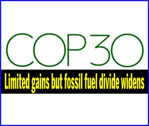 Read more about the article COP30