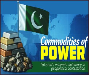 Read more about the article Commodities of Power