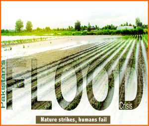 Read more about the article Pakistan’s Flood Crisis