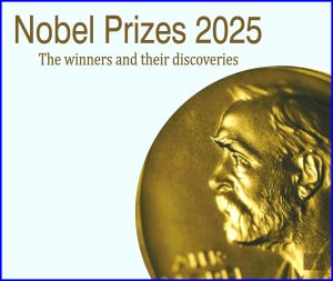 Read more about the article Nobel Prizes 2025