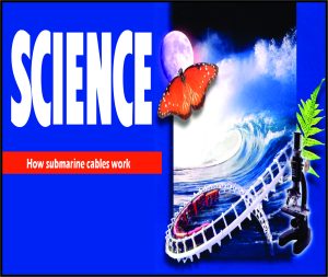 Read more about the article Science