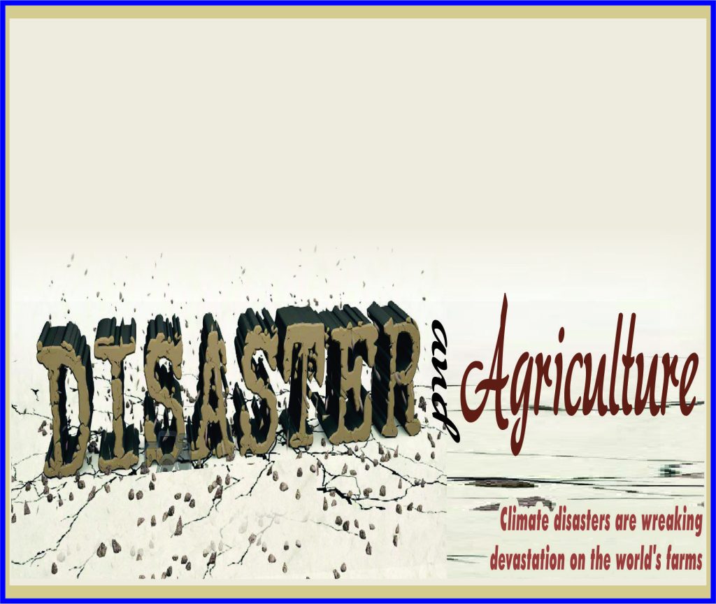 Disaster and Agriculture