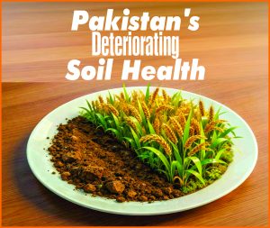 Read more about the article Pakistan’s Deteriorating Soil Health