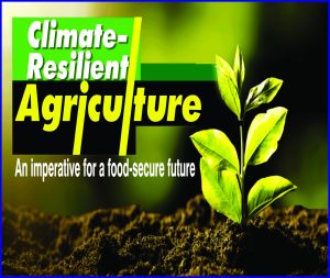 Read more about the article Climate-Resilient Agriculture