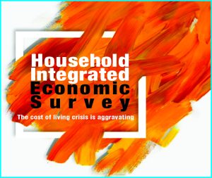 Household Integrated Economic Survey