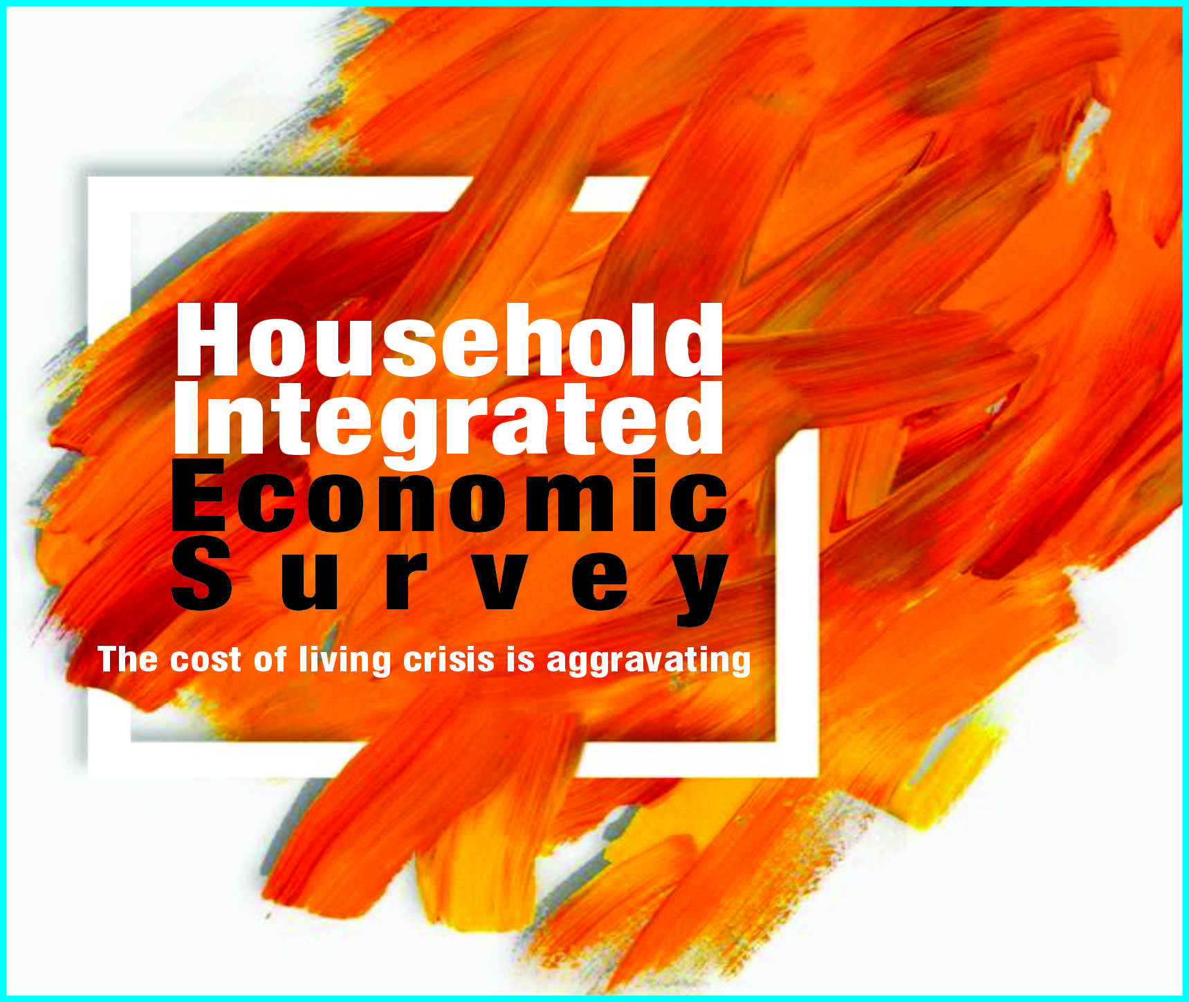 Read more about the article Household Integrated Economic Survey