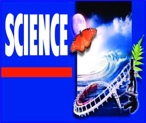 Read more about the article Science