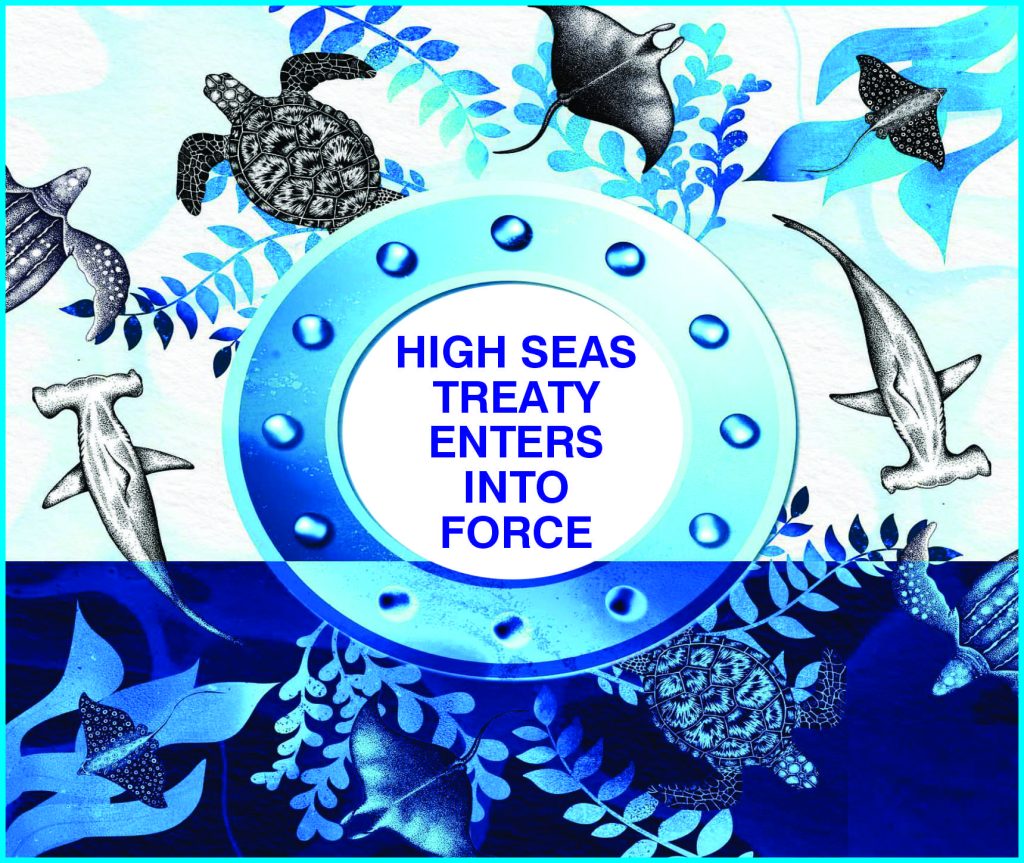 High Seas Treaty Enters into Force