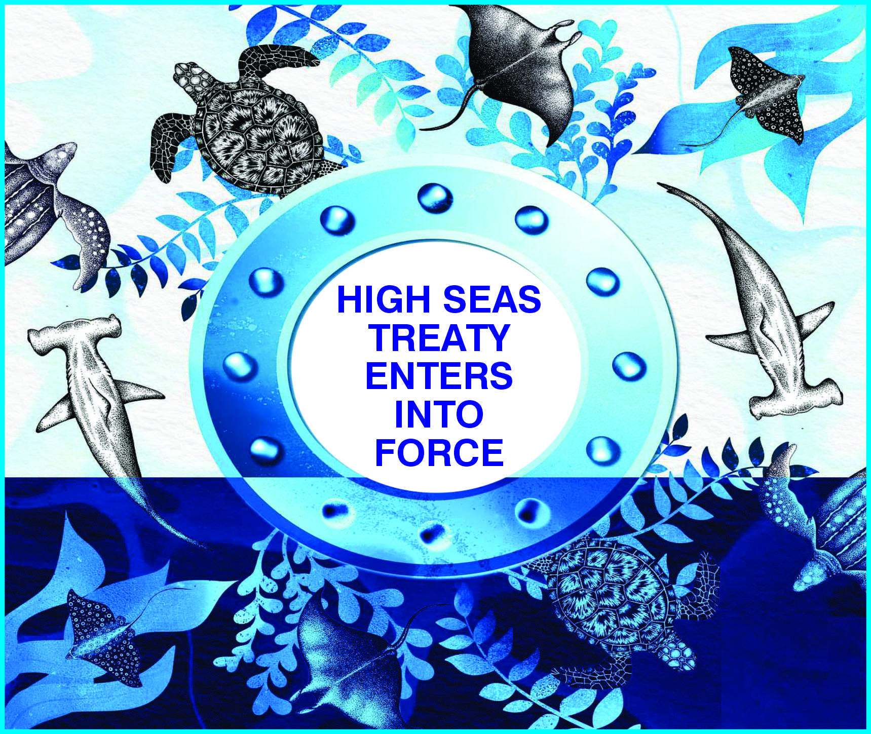 Read more about the article High Seas Treaty Enters into Force