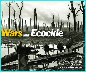 Read more about the article Wars and Ecocide