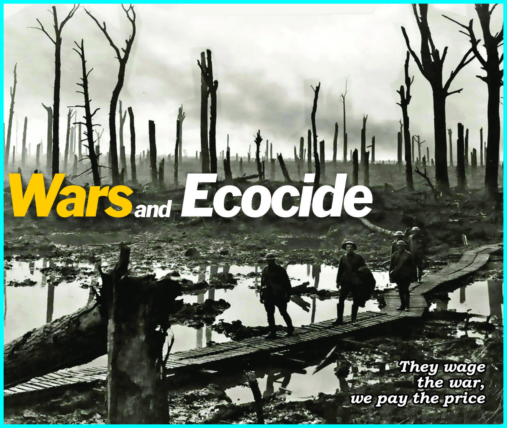You are currently viewing Wars and Ecocide