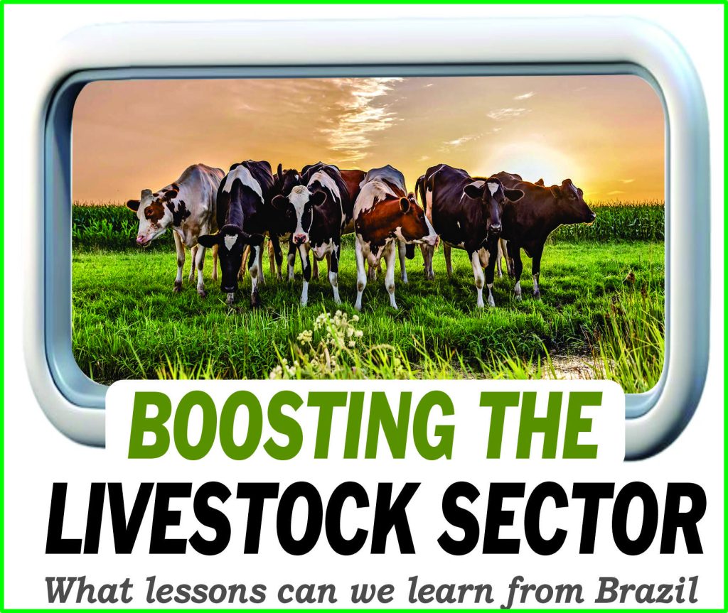 Boosting the Livestock Sector