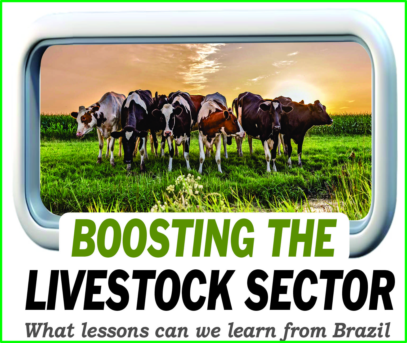 You are currently viewing Boosting the Livestock Sector