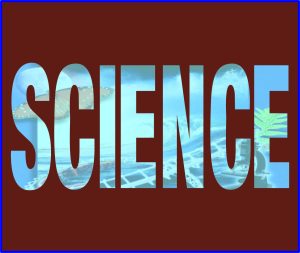 Read more about the article Science